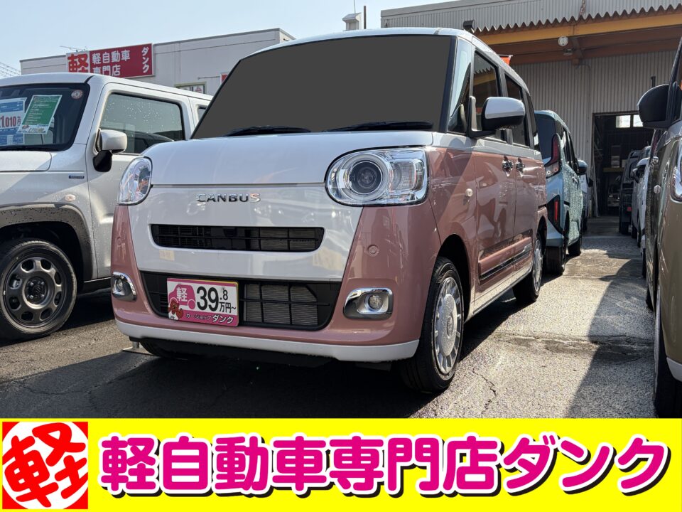 R7年式 キャンバス ストライプス G