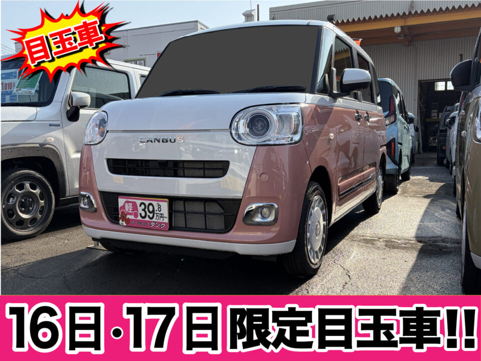 R7年式 キャンバス ストライプス G