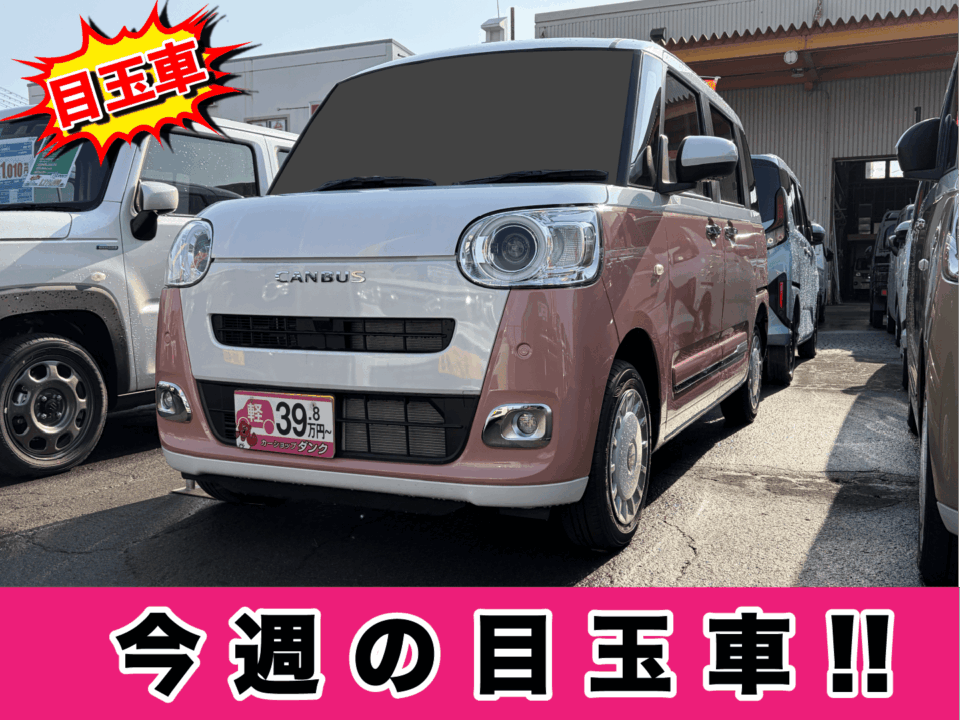 R7年式 キャンバス ストライプス G