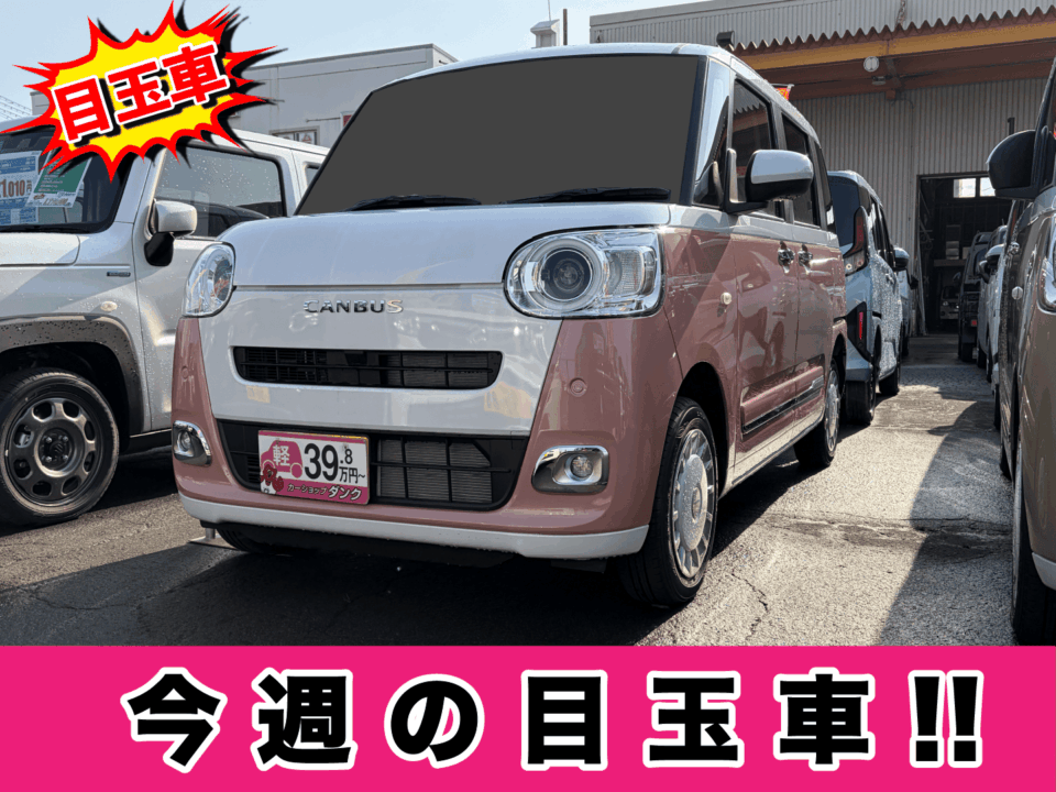 R7年式　キャンバス　ストライプス　Ｇ